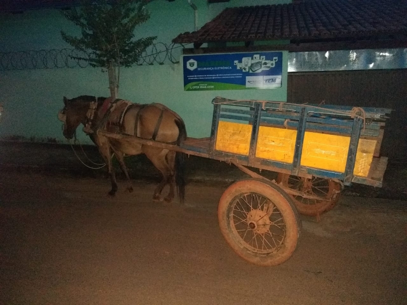 Homem é preso por porte de munições e furto de cavalo e charrete