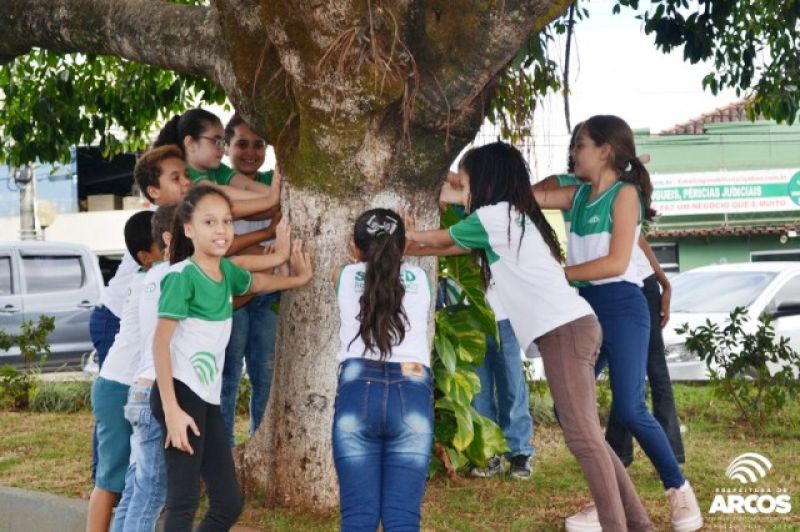 Meio Ambiente: mais de 11 mil mudas de árvores são plantadas na cidade