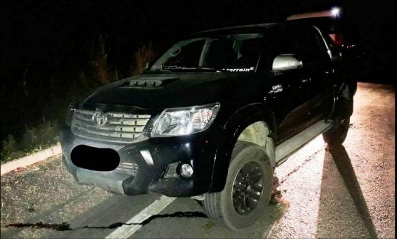 Boi morto no meio da pista provoca acidente em Formiga