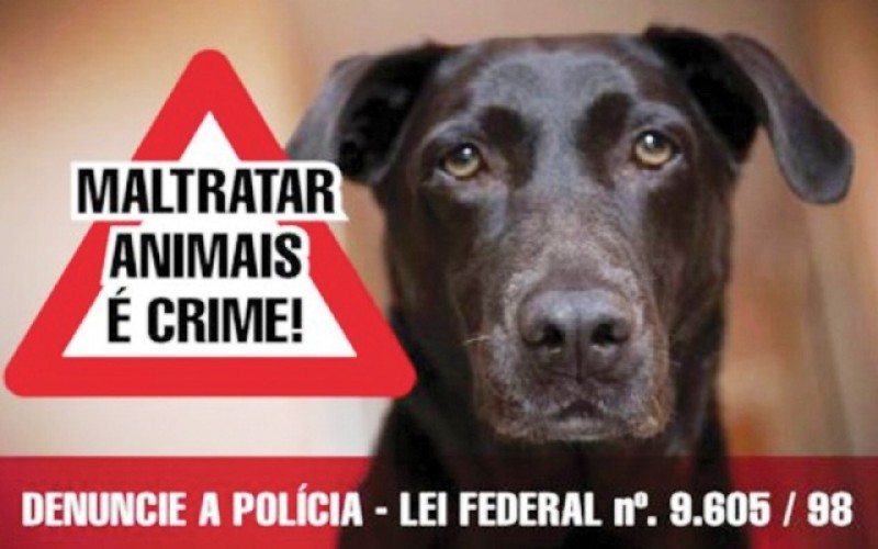 Homem mata cachorro a pauladas em Córrego Fundo