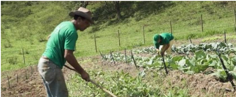 Documento para agricultores familiares emitido pela Emater-MG ganha validade maior
