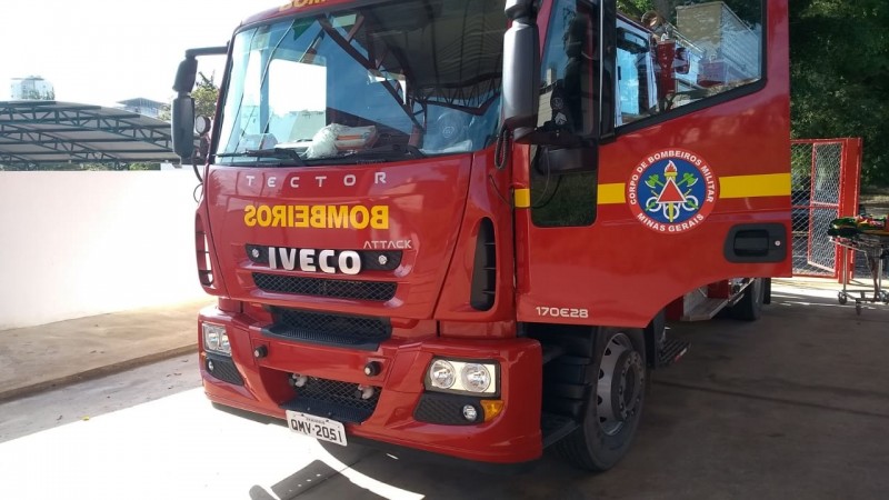 Árvore caída em rodovia dificulta trânsito de veículos