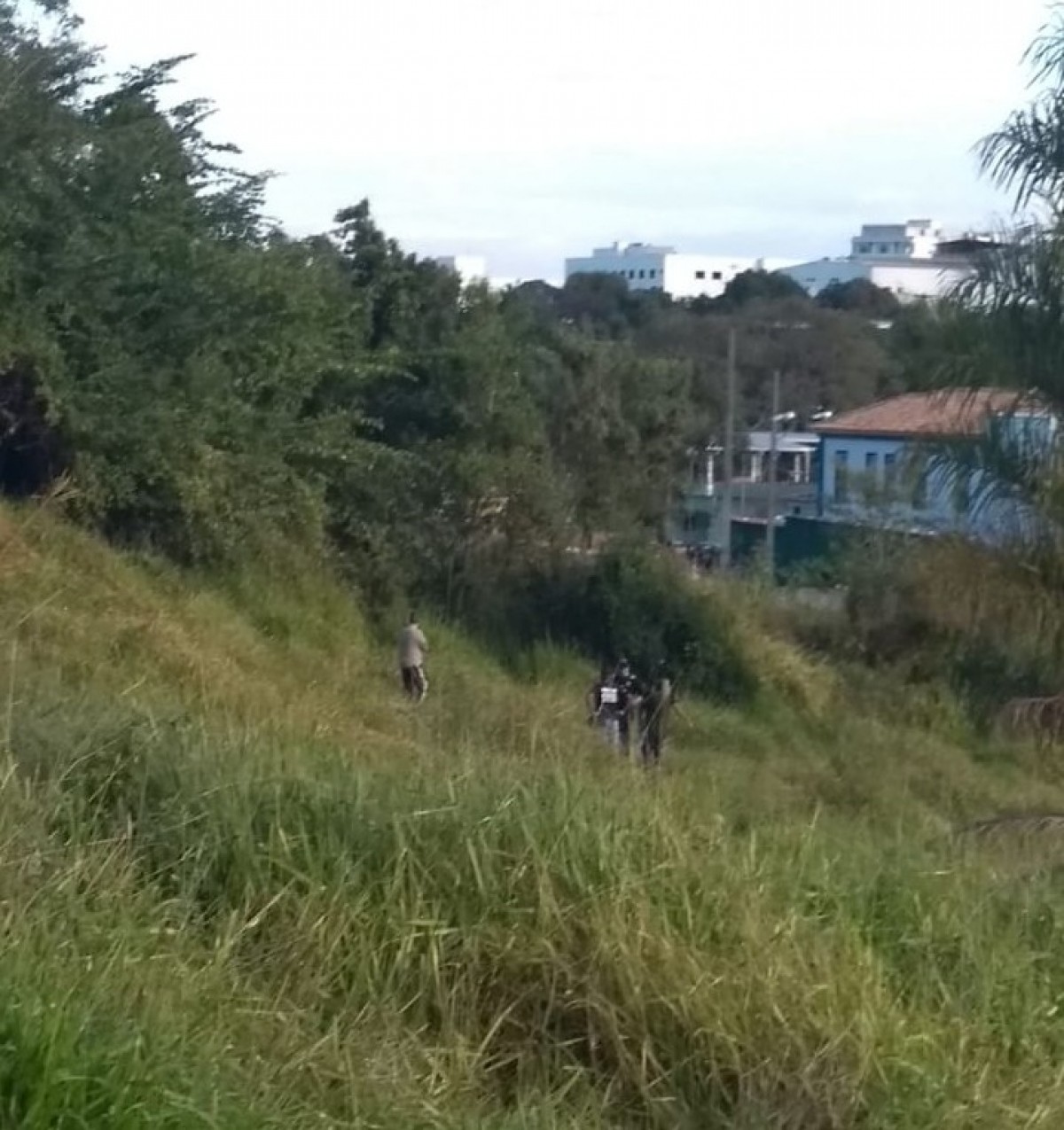Corpo de adolescente desaparecida em Formiga é encontrado em matagal