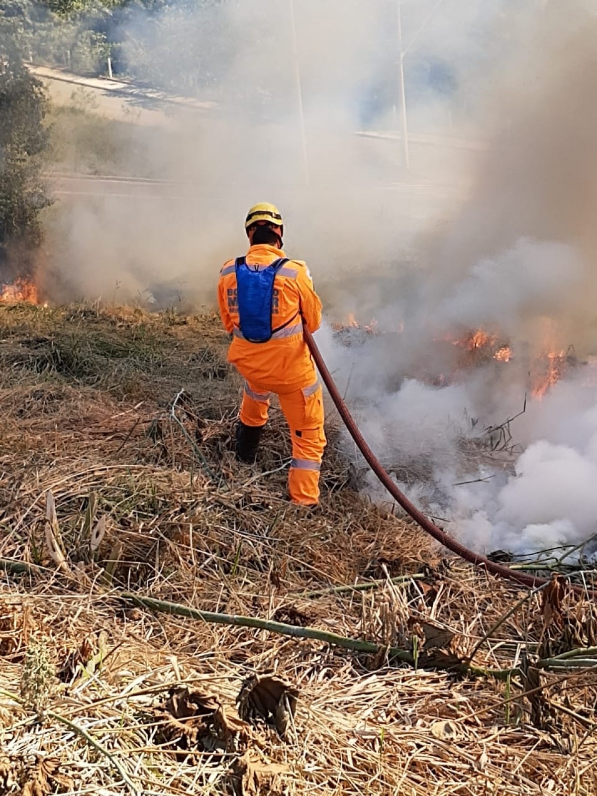 Pasto de quase 30 hectares fica em chamas na cidade de Arcos