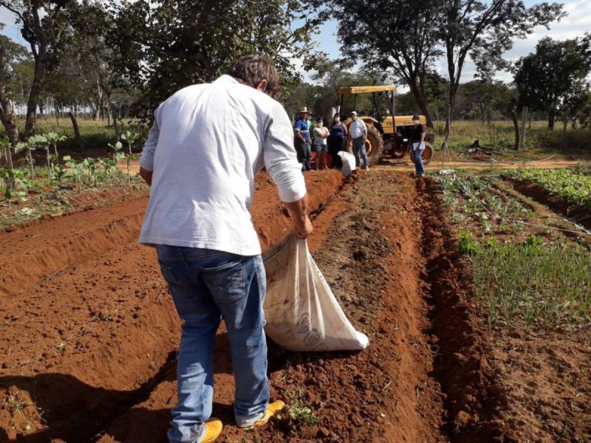 RODUTORES DA AGRICULTURA FAMILIAR DE ARCOS PARTICIPAM DE DIA DE CAMPO EM HORTICULTURA
