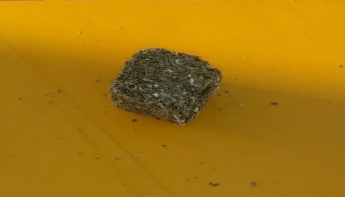 Homem é preso com maconha durante blitz da Polícia Rodoviária na BR-354, em Arcos