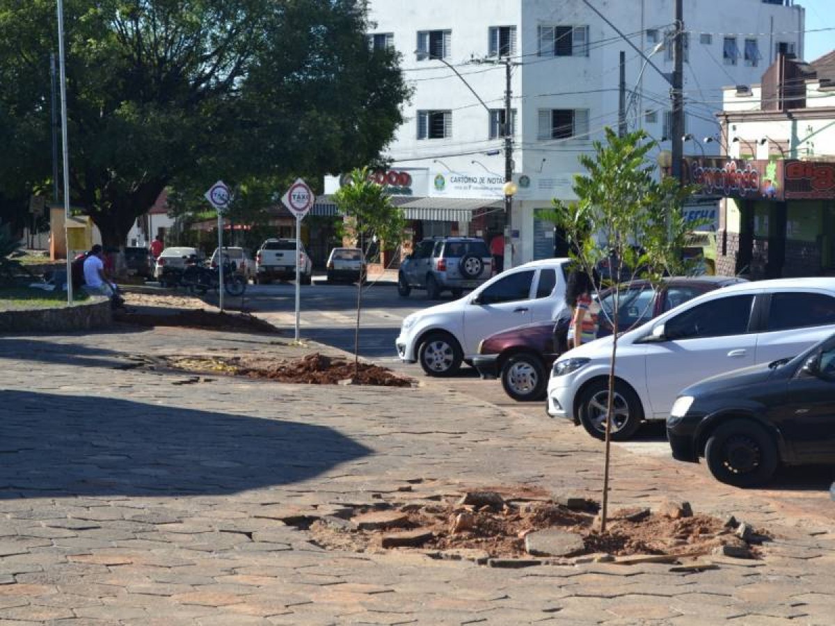 PREFEITURA DE ARCOS REALIZA PLANTIO DE NOVAS ÁRVORES NA PRAÇA DA MATRIZ