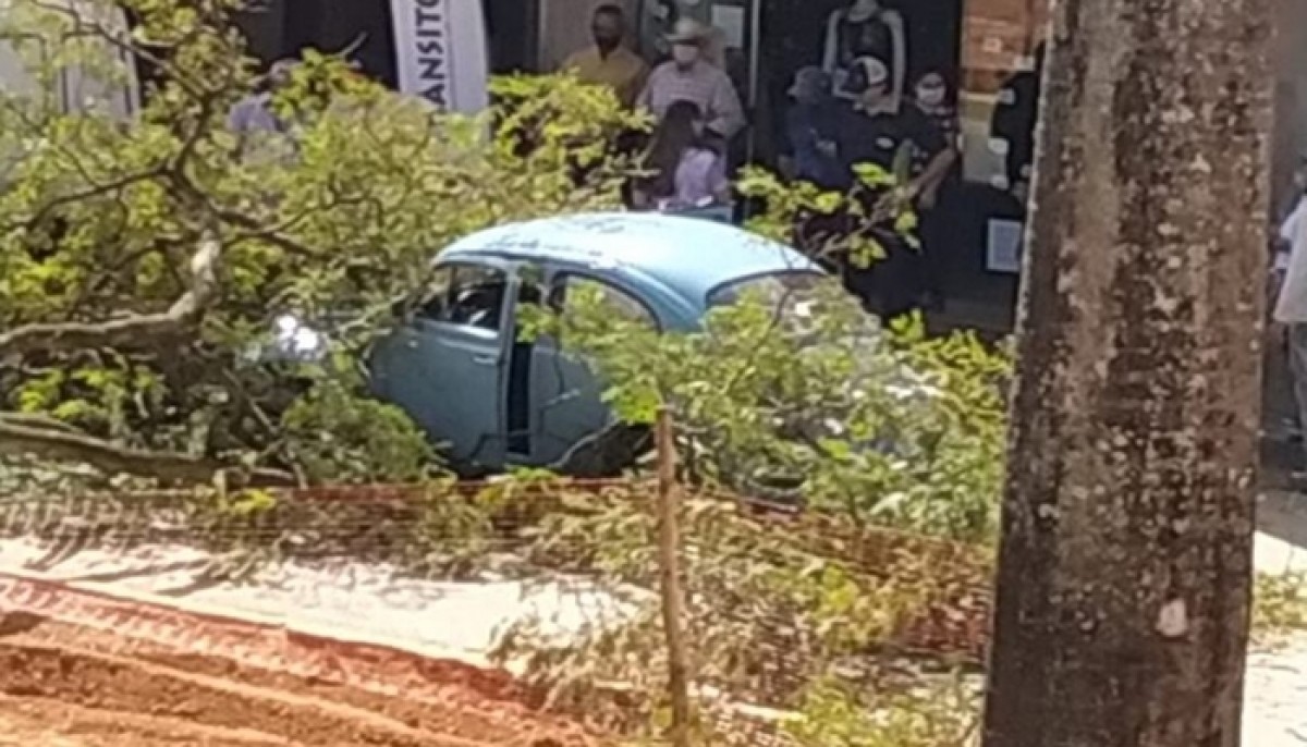 Árvore cai e atinge carro no Centro de Bambuí