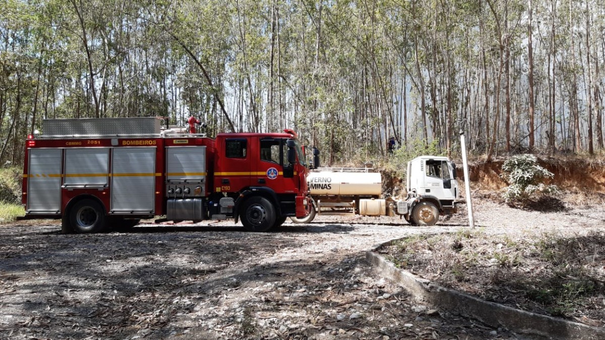 Incêndio em plantação de eucalipto na cidade de Iguatama