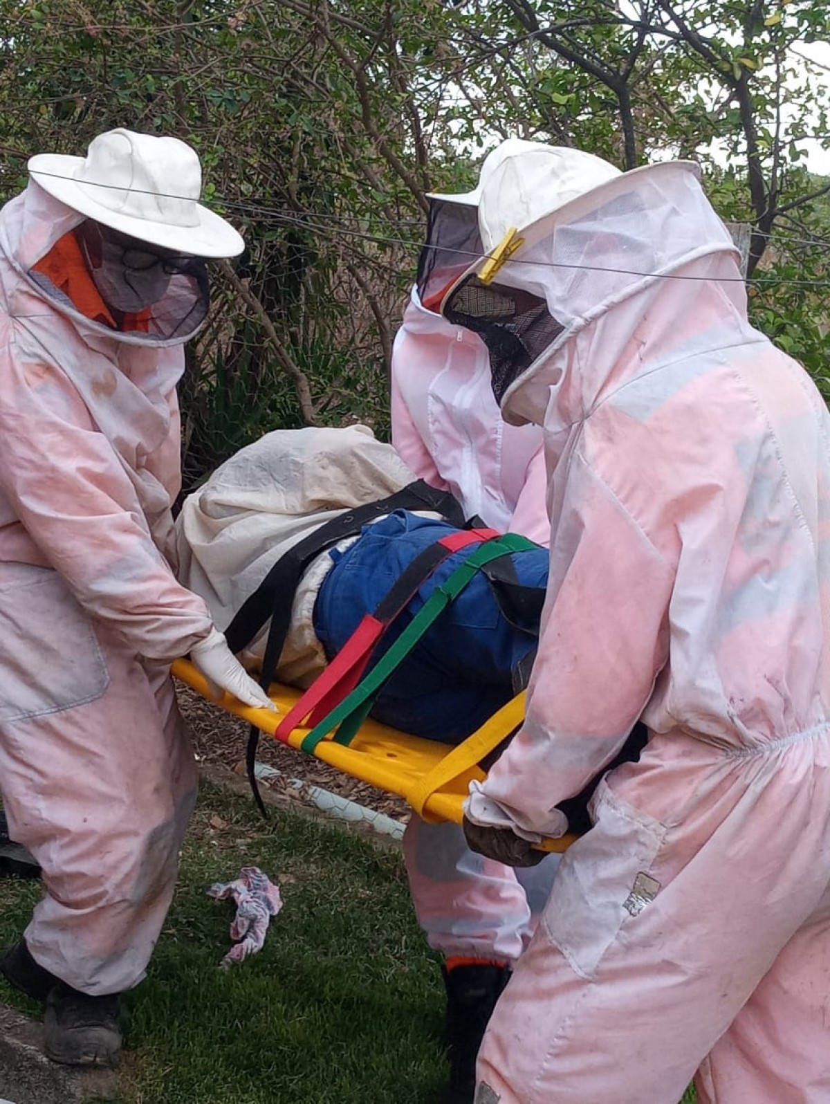 Homem sofre queda de 4 metros de altura ao tentar capturar enxame de abelhas em Japaraíba