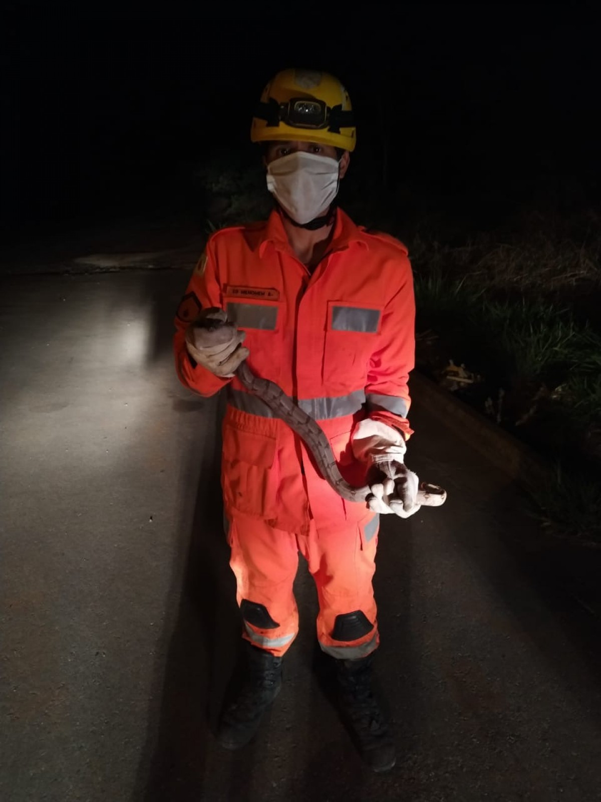 Jiboia é capturada em cima de balcão em residência no bairro Novo Horizonte em Arcos