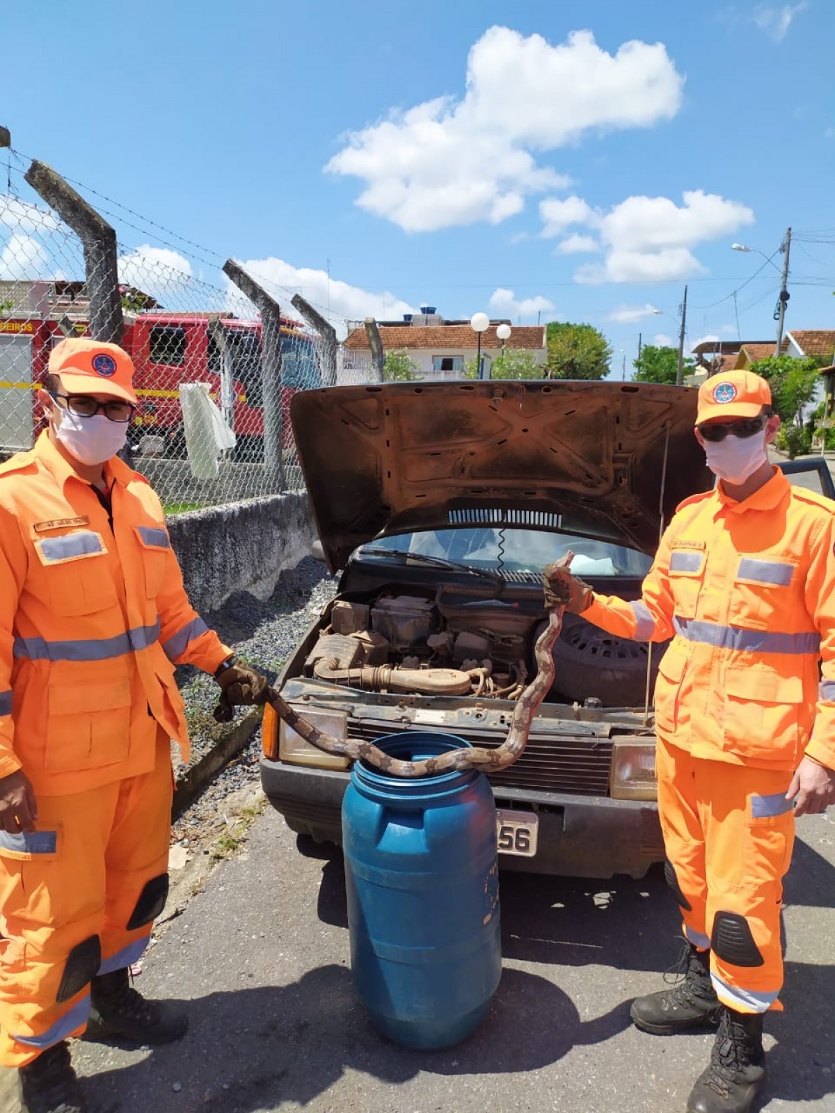 Jiboia de 1,50m é encontrada em motor de carro em Arcos