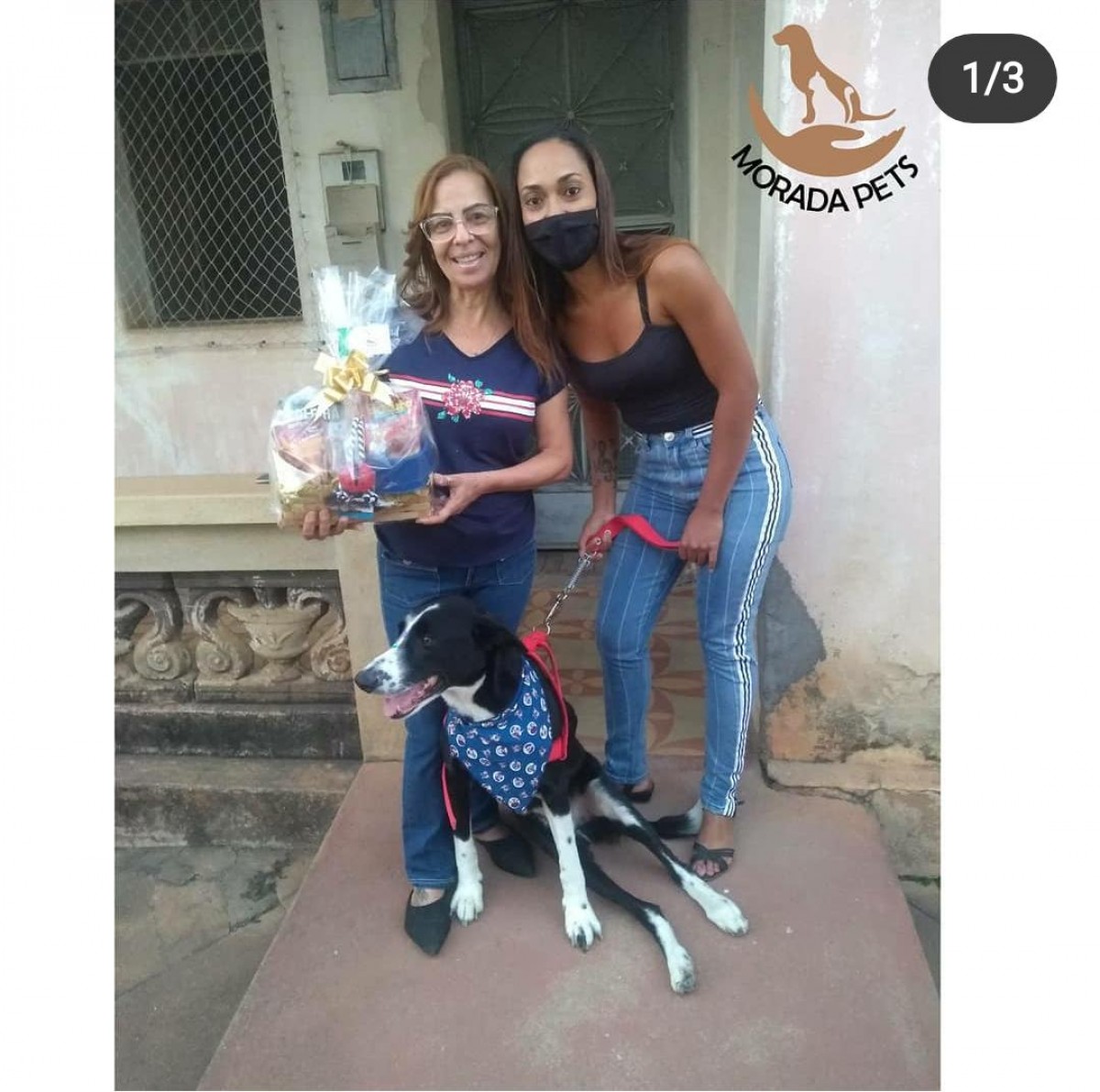 Você buscar conforto e qualidade para seu pet? Seja bem vindo(a) a Morada Pets