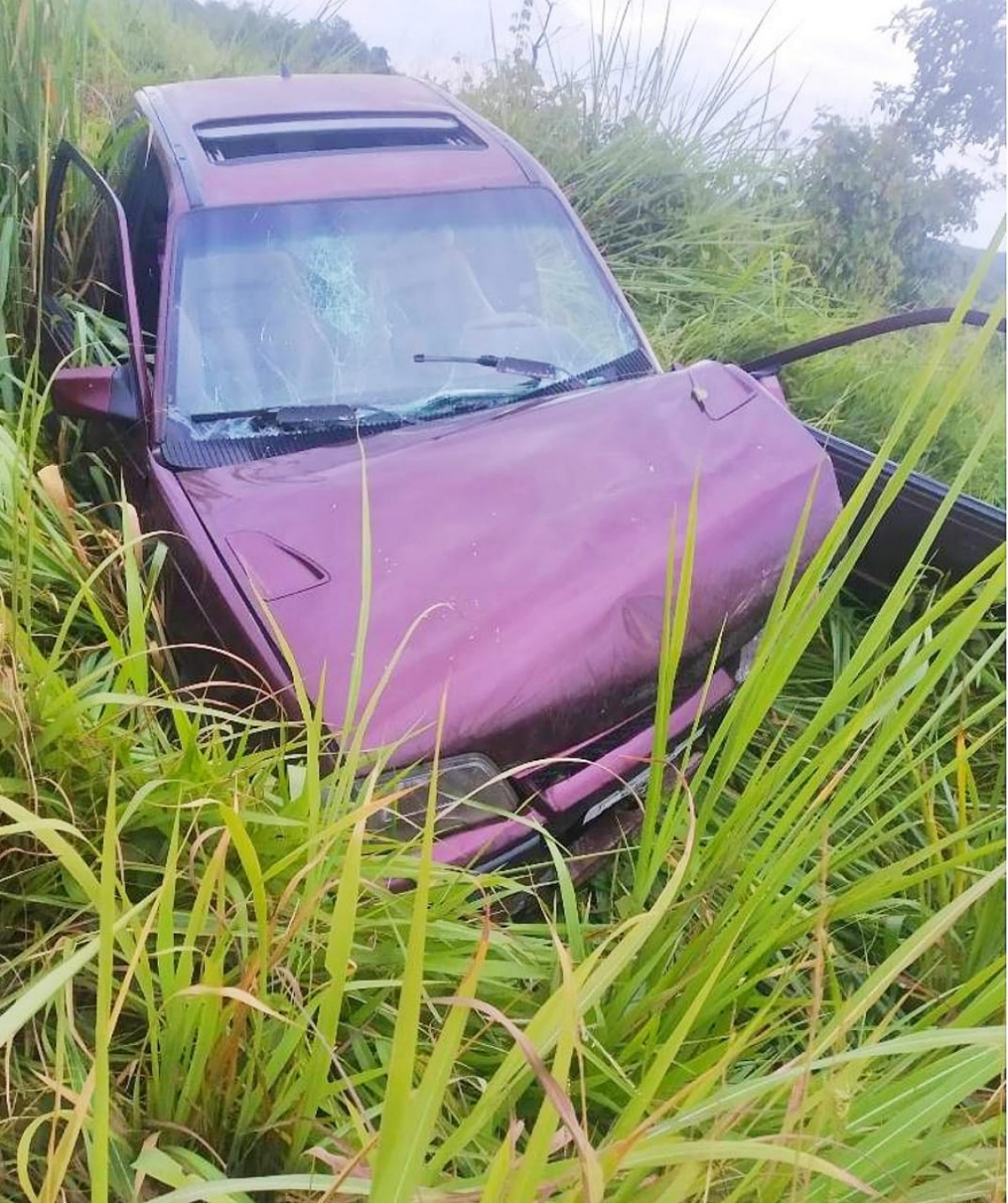 Carro perde  controle, sai da pista e para em matagal