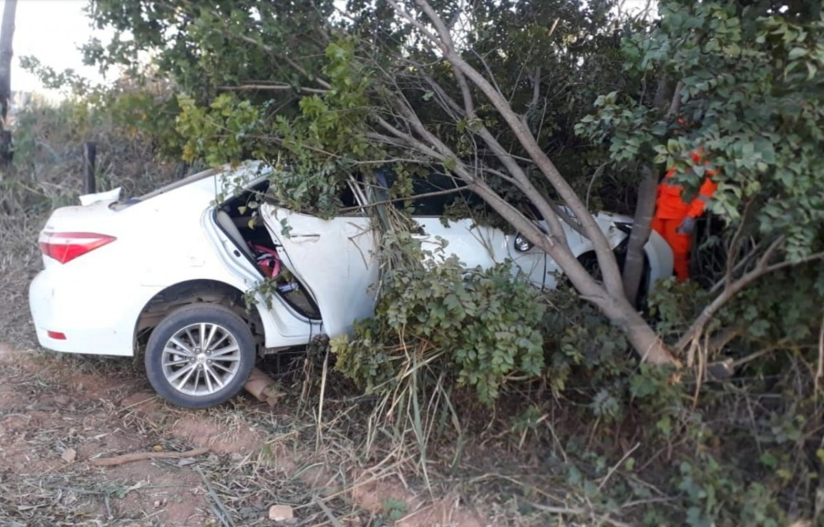 Motorista se assusta com árvore caída na rodovia e perde controle do carro