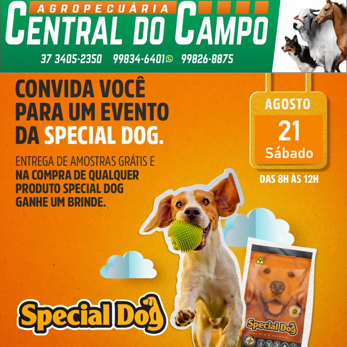 EVENTO Special Dog em Arcos