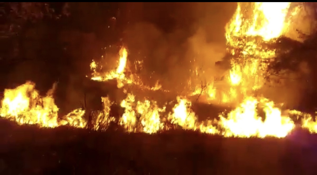 Incêndio devasta 20 hectares de áreas de pastagem, reservas e plantações de eucalipto em Formiga