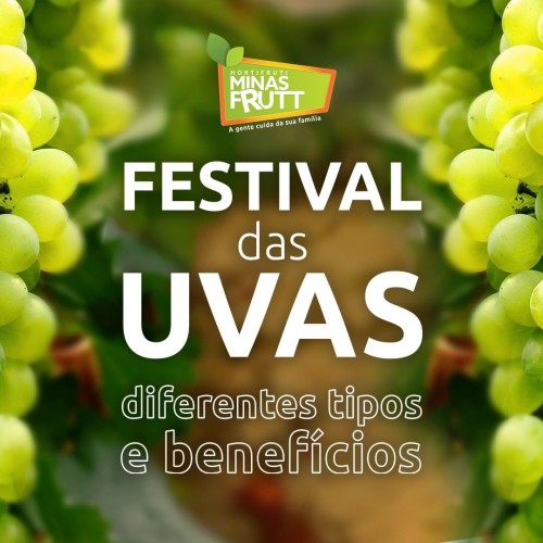 Festival das uvas e seus diferentes tipos e benefícios