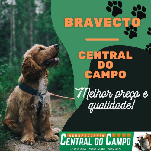 Saiba mais sobre o Bravecto