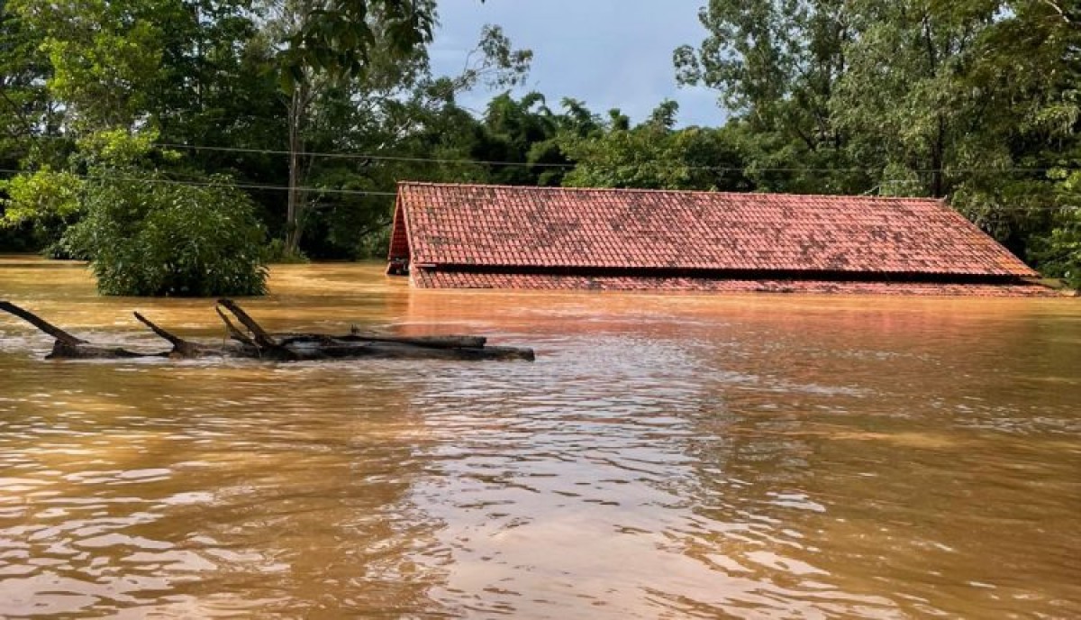 Em Lagoa da Prata, Rio São Francisco transborda e inunda sítios próximos