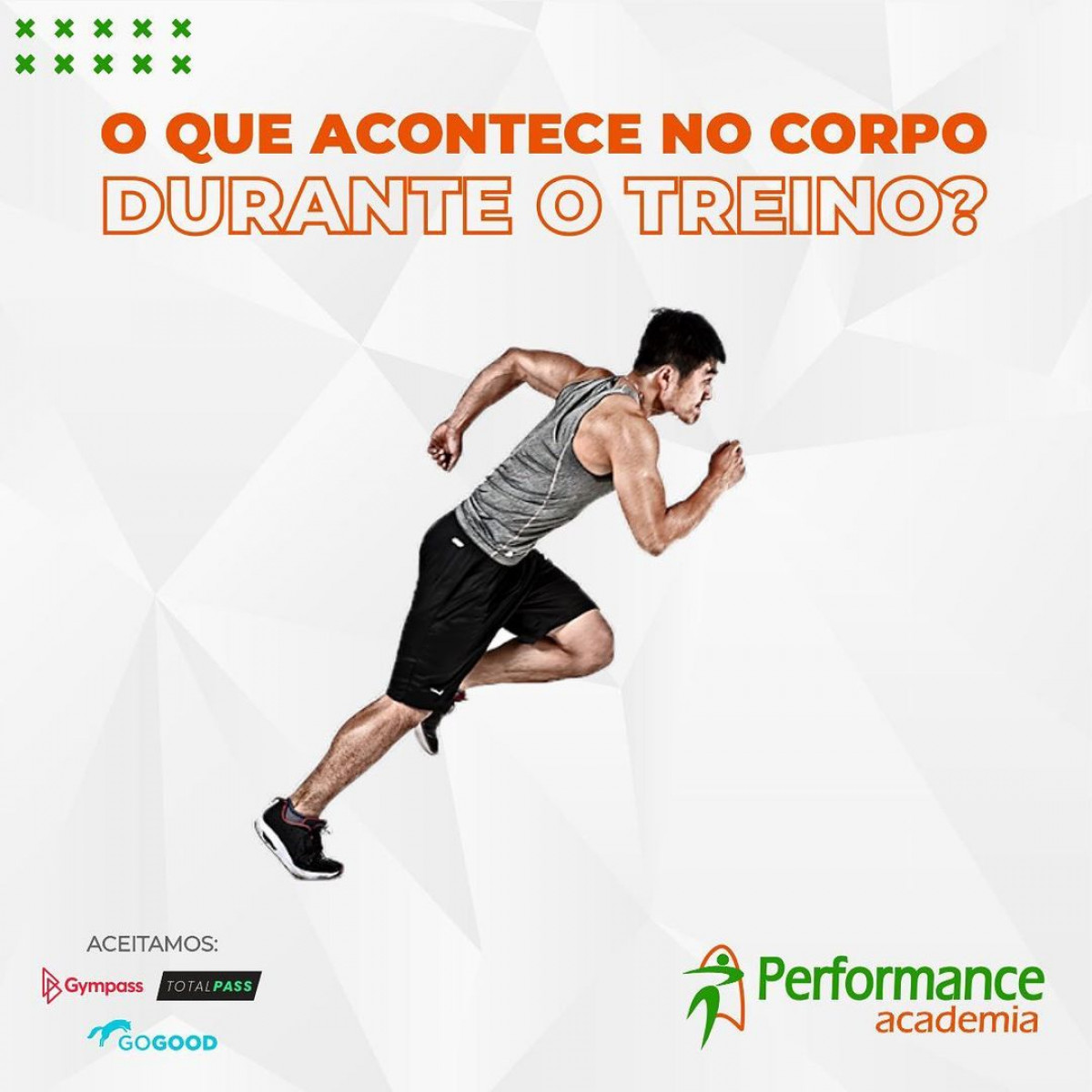 O que acontece com o corpo durante o treino?