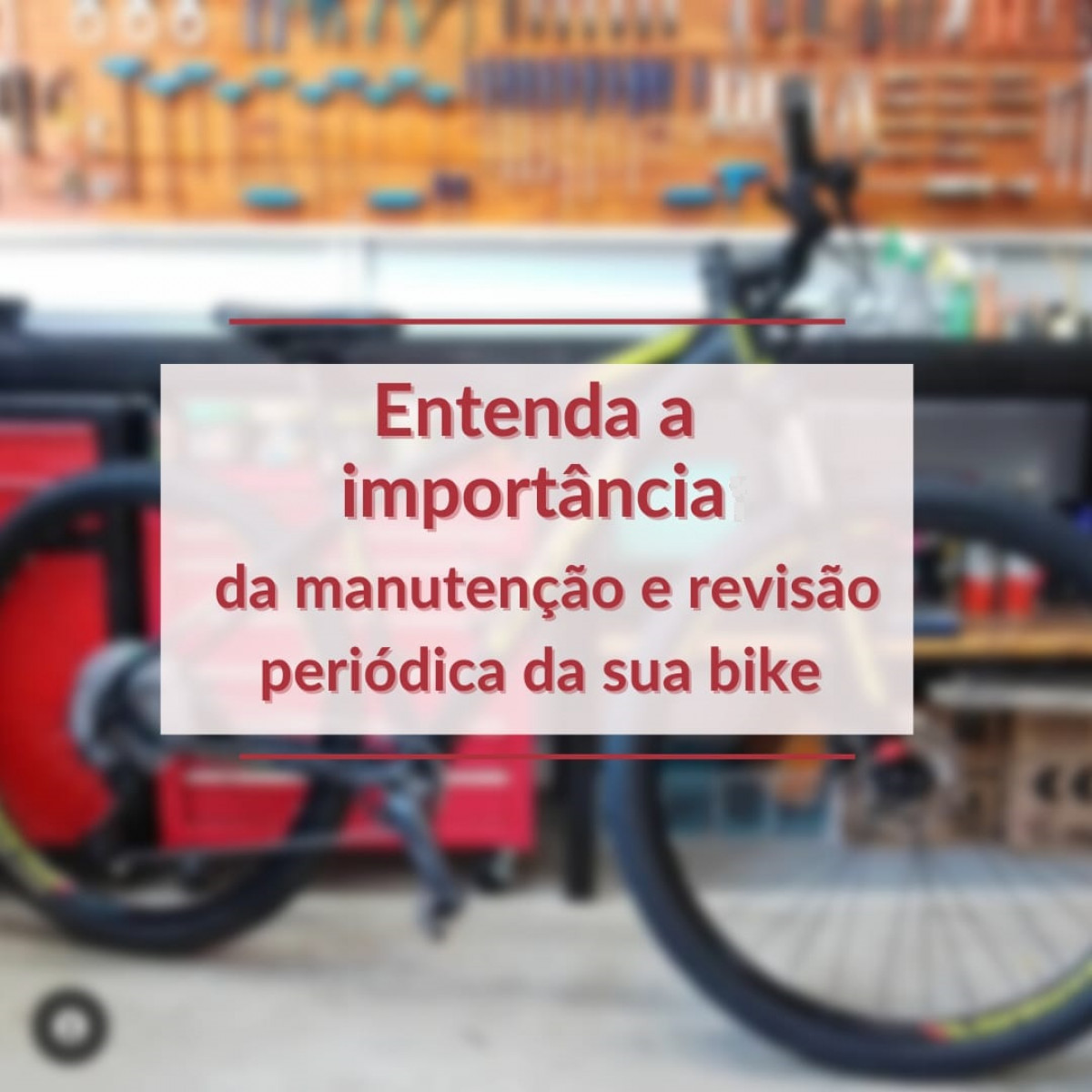 Entenda a importância da manutenção e da revisão periódica da sua bike