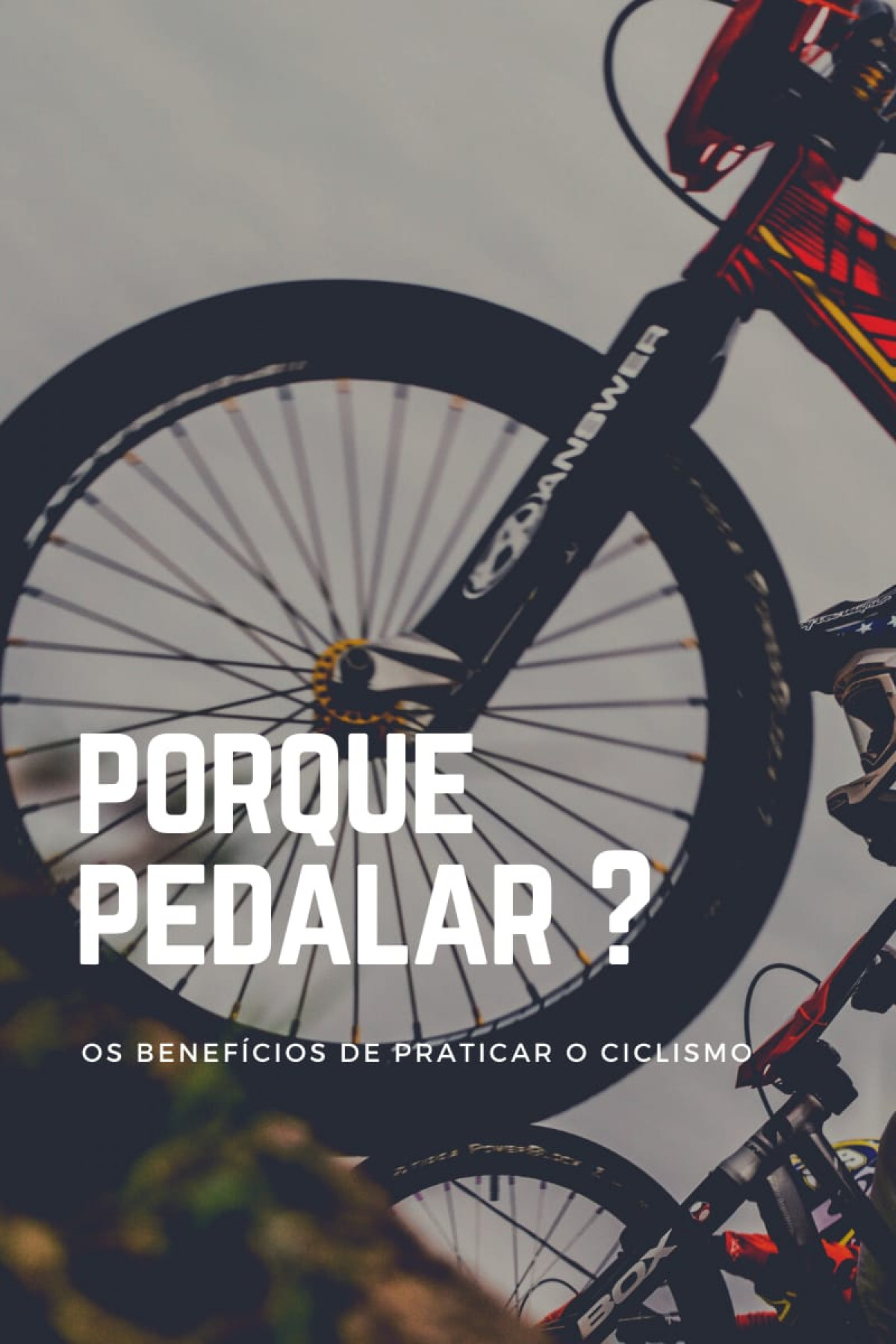Porque pedalar?