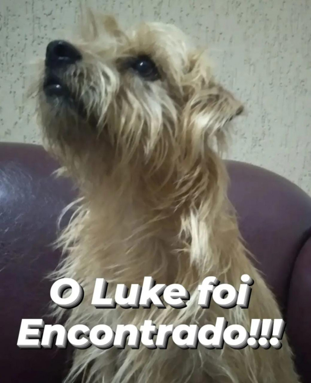 Luke foi encontrado!!
