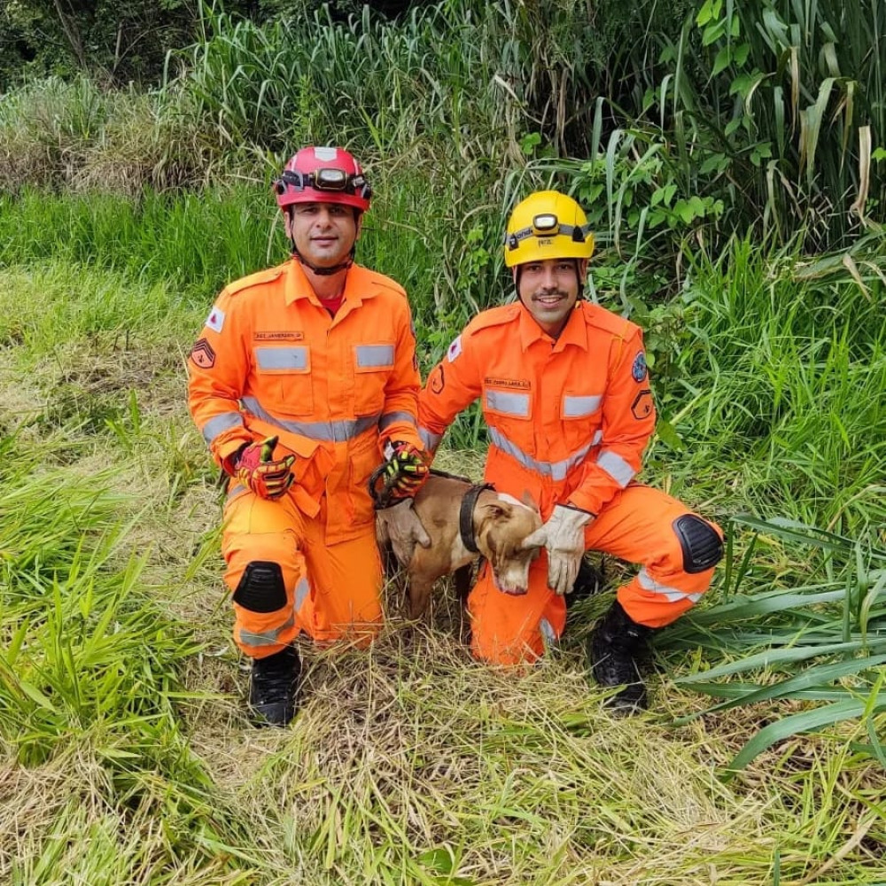 Bombeiros realizam resgate de cão em situação de risco no Rio dos Arcos