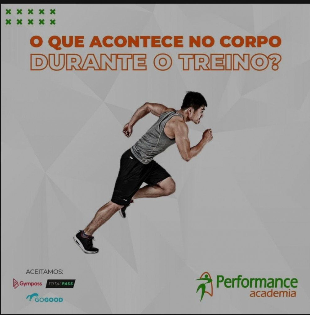 O que acontece no corpo durante o treino?