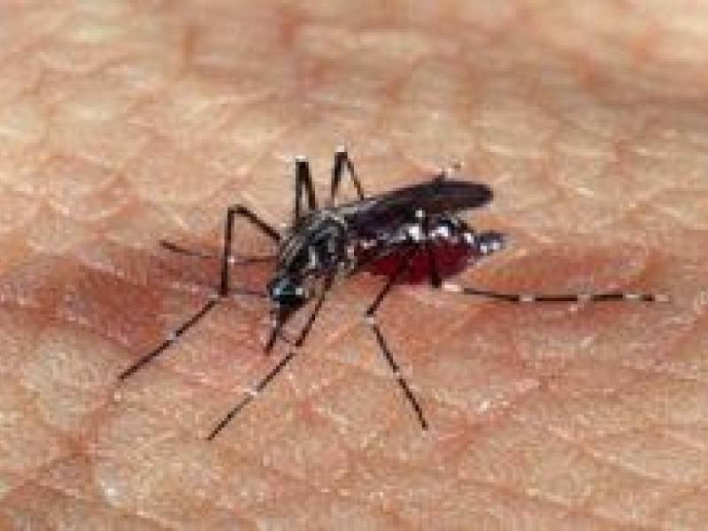 Arcos está em situação de ‘alto risco’ para uma epidemia de dengue