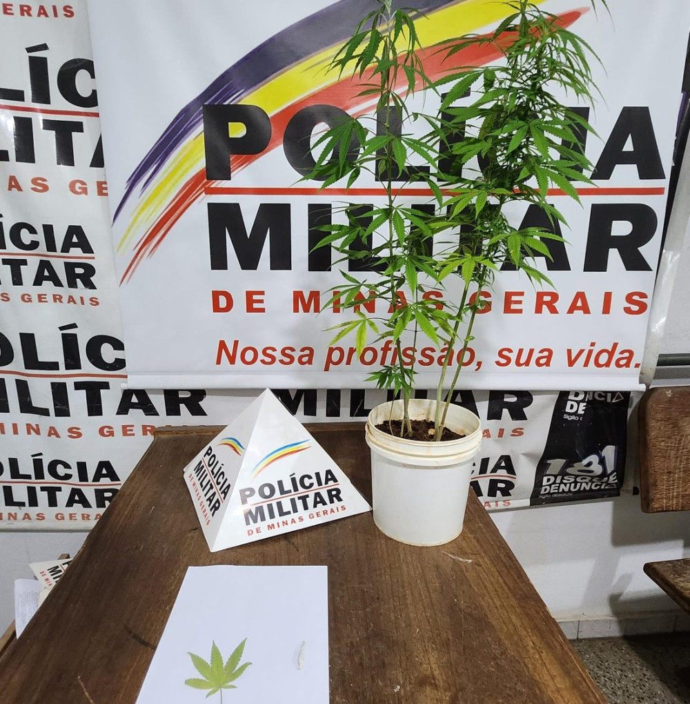 Polícia Militar registra ocorrência de furto e tráfico de drogas em Arcos