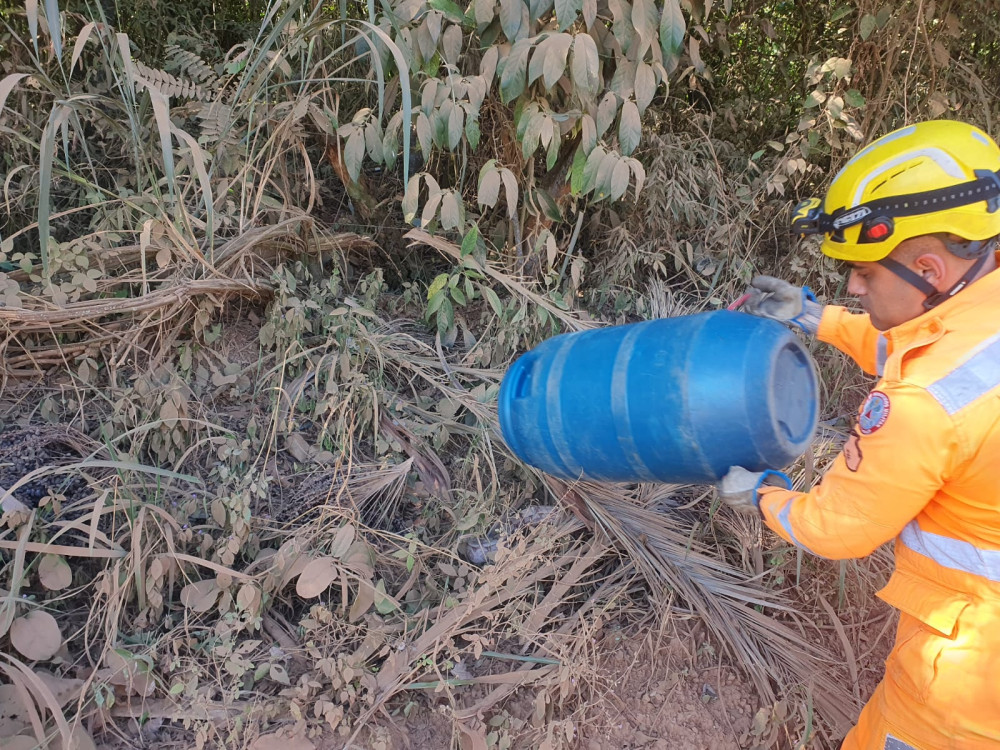 Corpo de Bombeiros Militar de Arcos captura jiboia no bairro Castelo