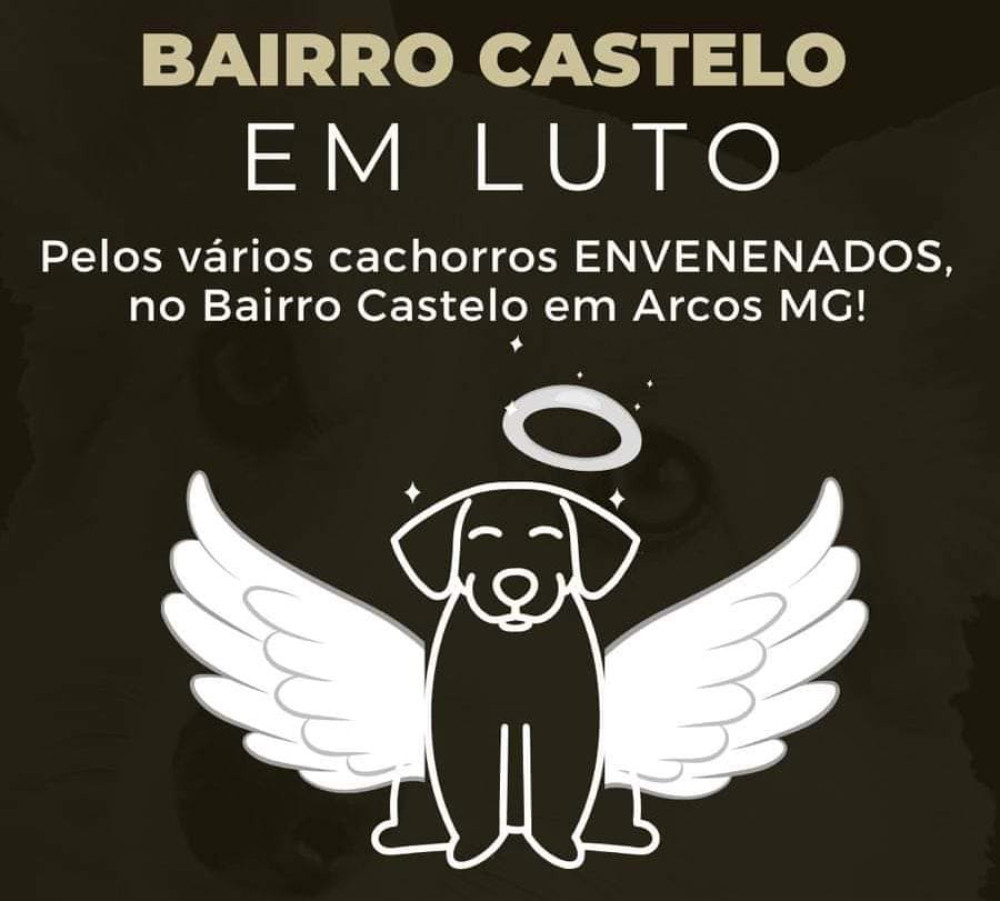 Cães são mortos por envenenamento do Bairro Castelo em Arcos