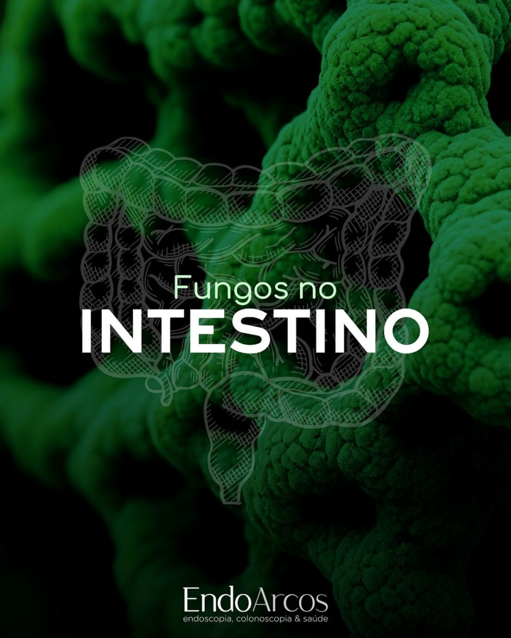 Fungos no intestino