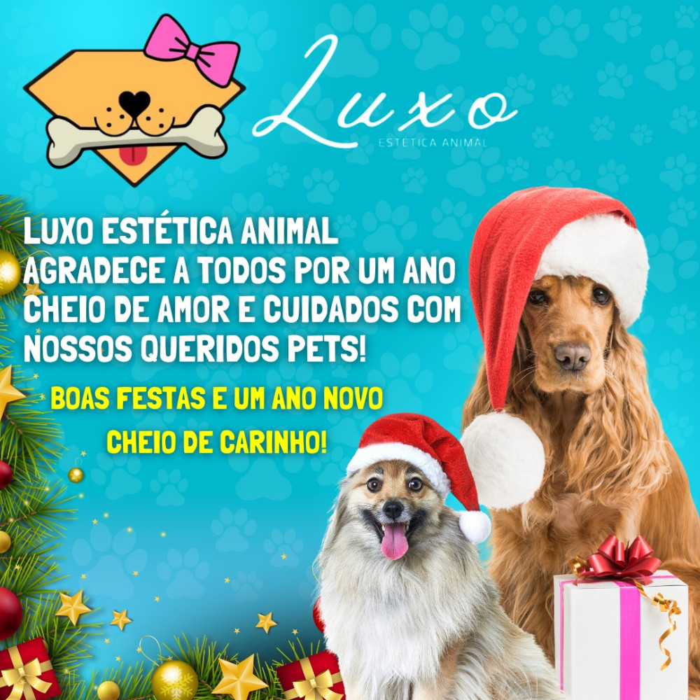 A Luxo Estética Animal agradece a todos os clientes e seus adoráveis pets por um ano incrível e cheio de carinho