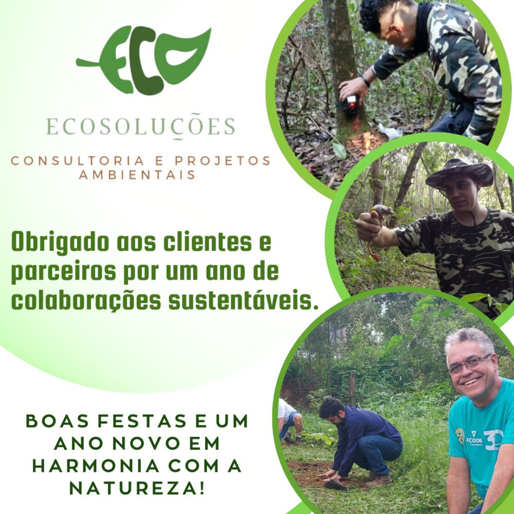 Que 2025 nos traga novas oportunidades de promover um futuro mais verde e sustentável