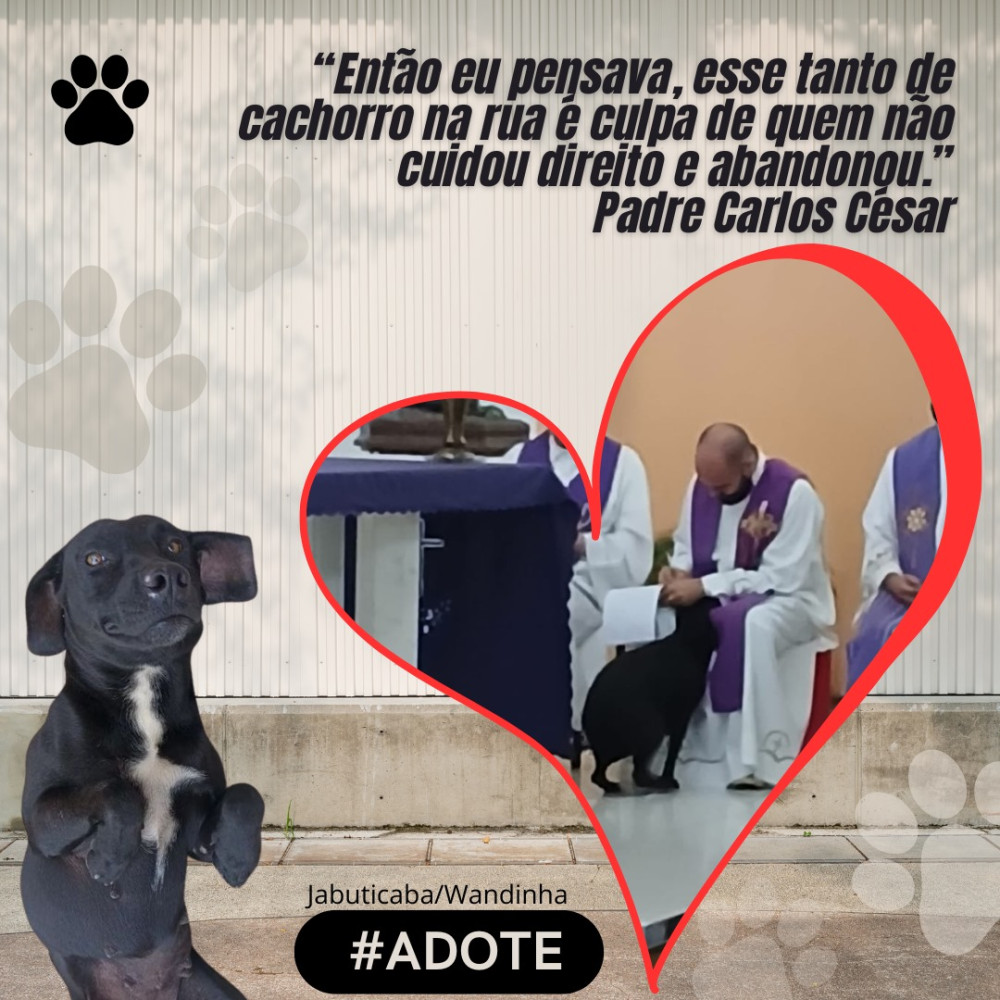 Jabuticaba, a cadelinha que conquistou o coração do padre e da comunidade de Arcos