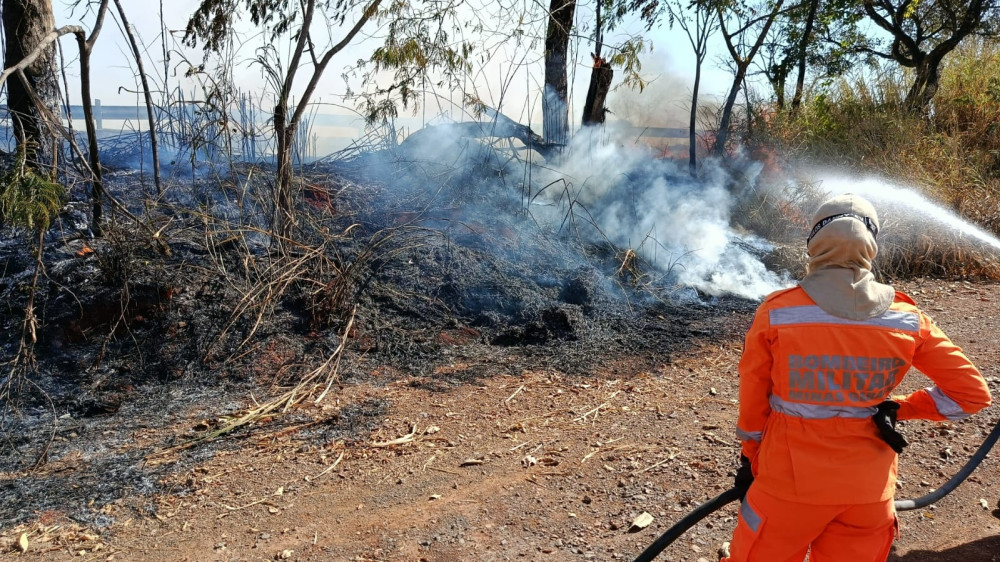 Incêndio em vegetação mobiliza militares e fecha estrada