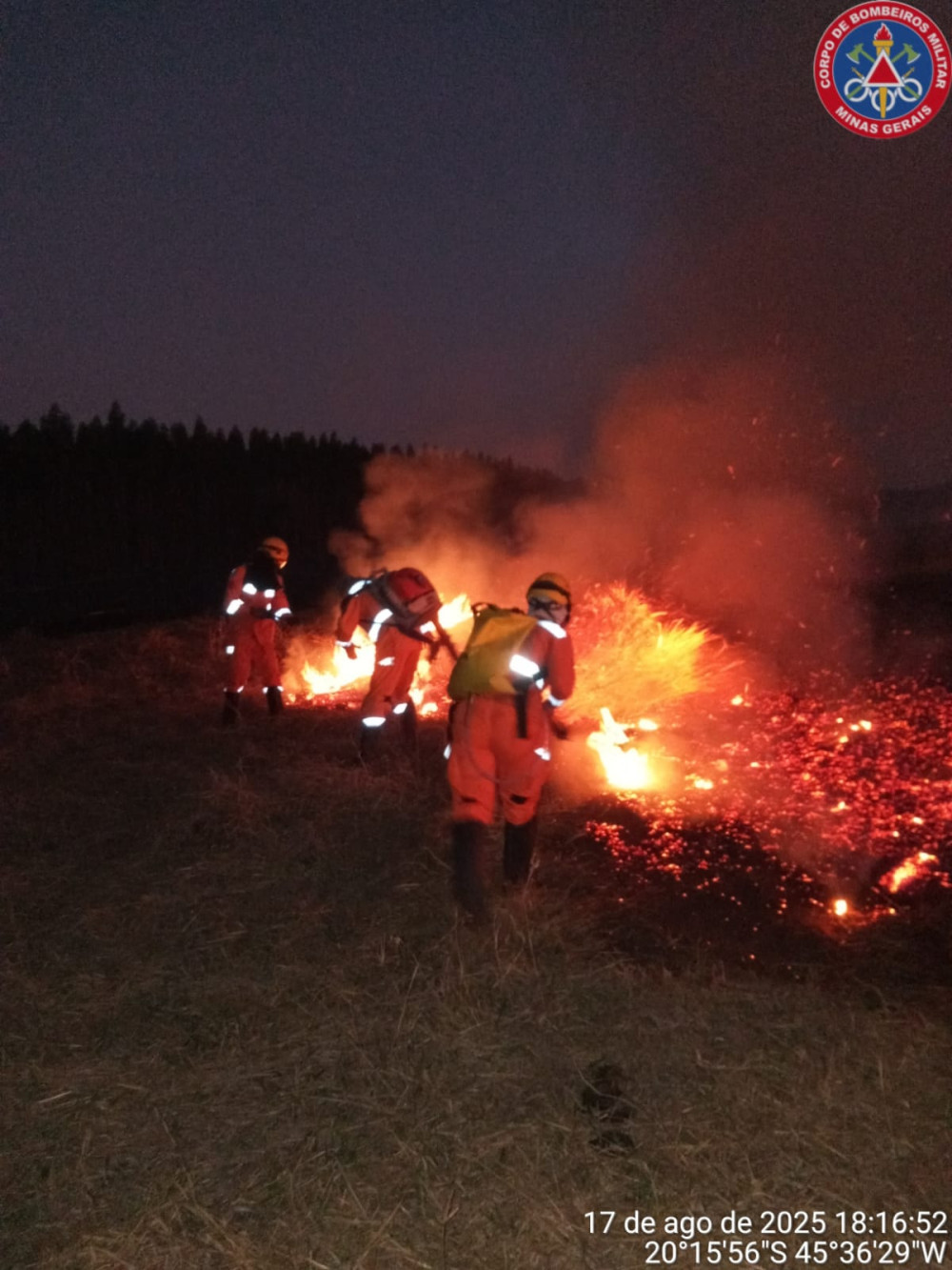 Fogo destrói pastagem e eucaliptos na Fazenda Barra