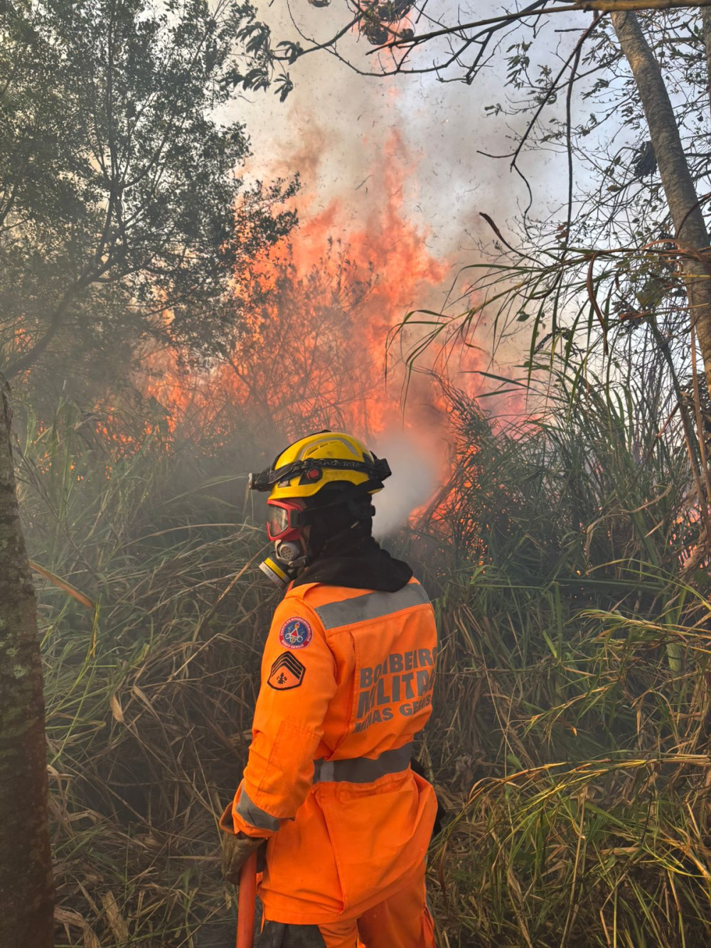 Incêndio florestal é controlado com apoio de fazendeiros e empresas locais