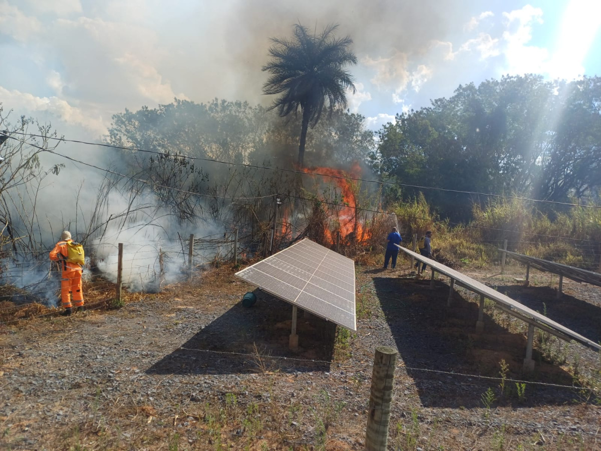 Vegetação pega fogo e coloca usina e casas em risco