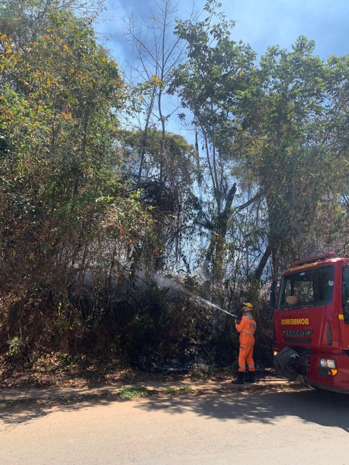 Vegetação em lote vago é consumida pelo fogo no bairro Floresta