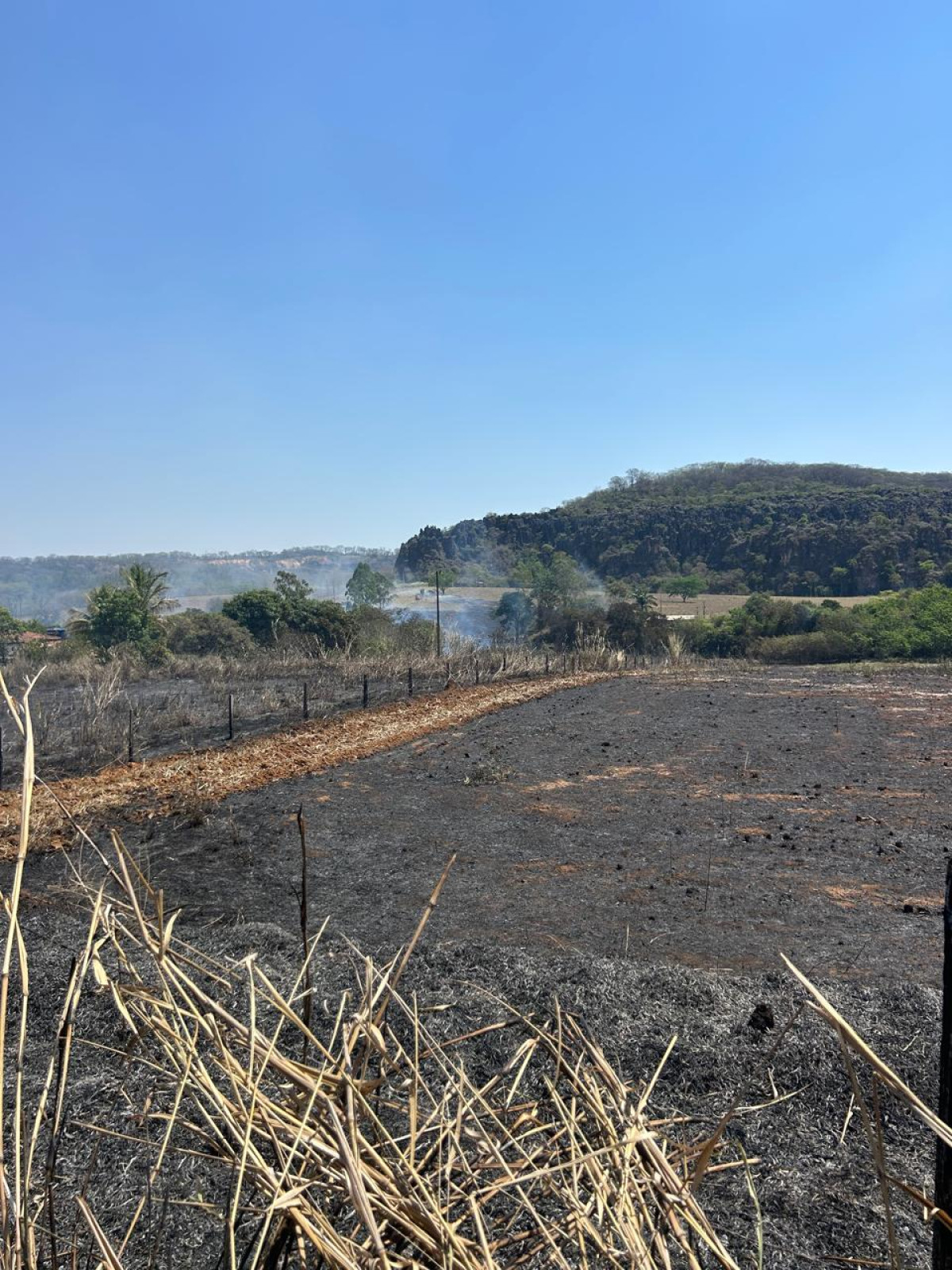 Incêndio em vegetação atinge Estação Ecológica do Corumbá em Arcos