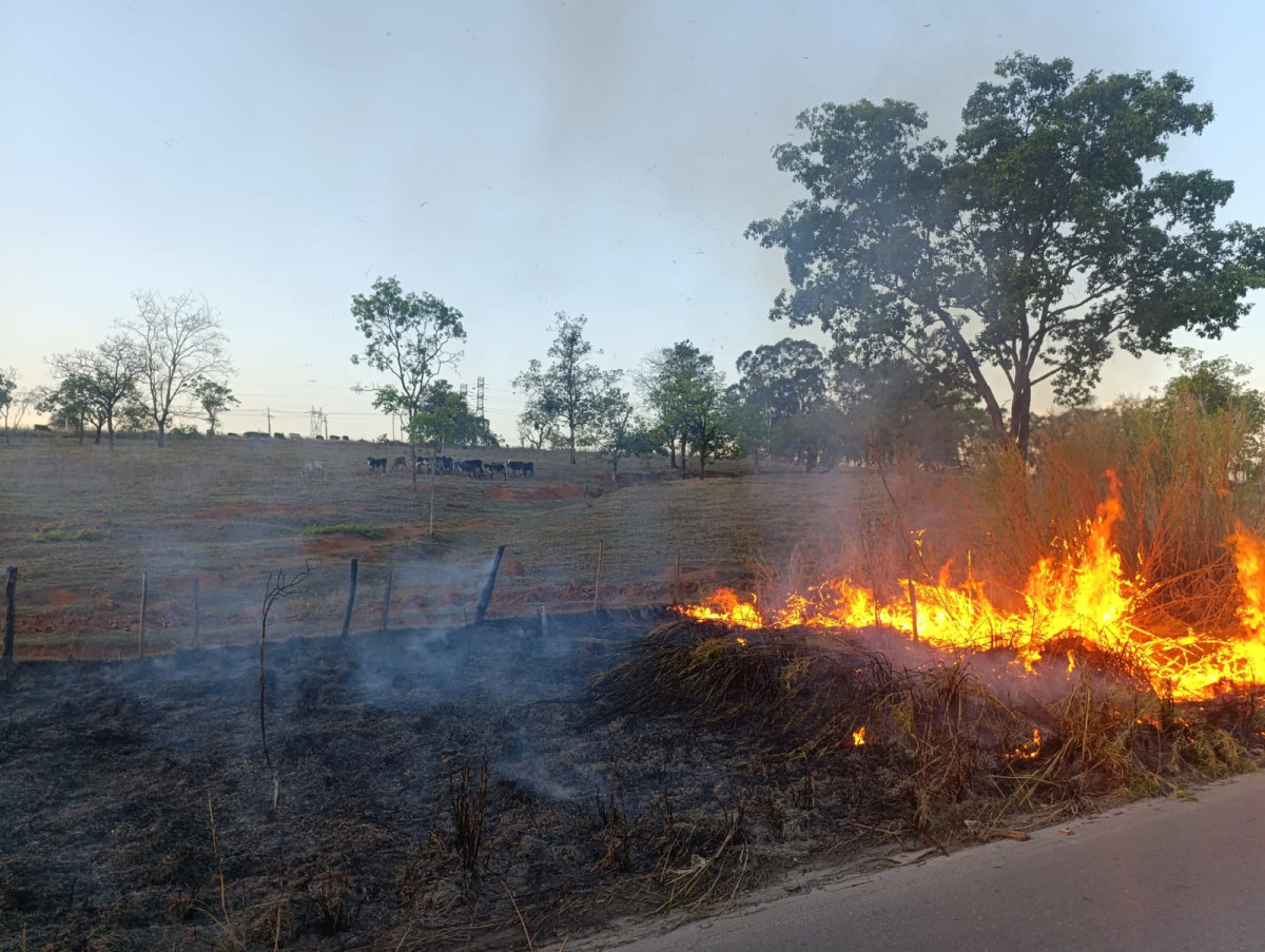 Queimada atinge 500 m² de vegetação em rodovia de Arcos