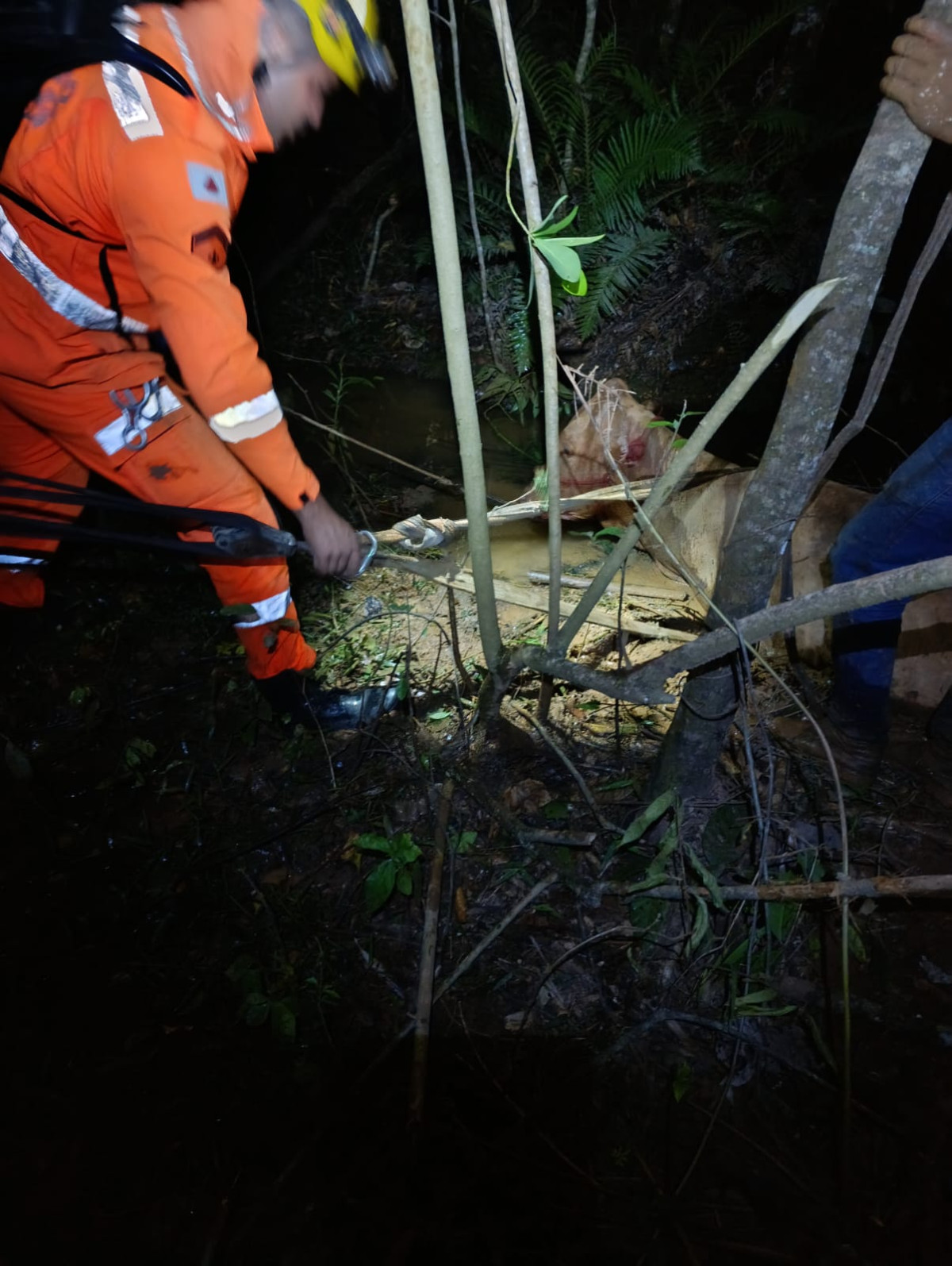 Animal em perigo é resgatado com técnica especializada