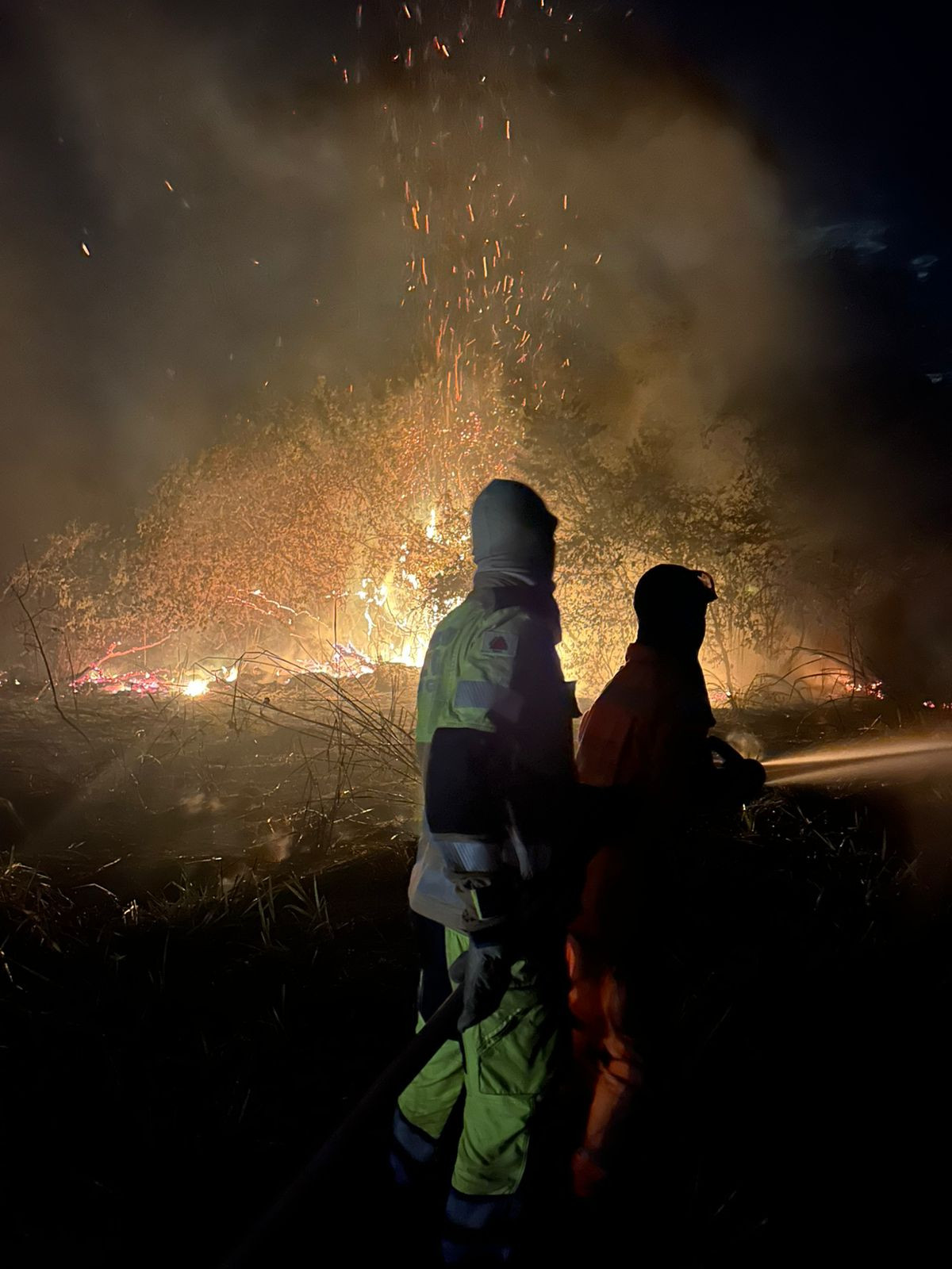 Fogo consome área de vegetação próxima à Fazenda São Domingos