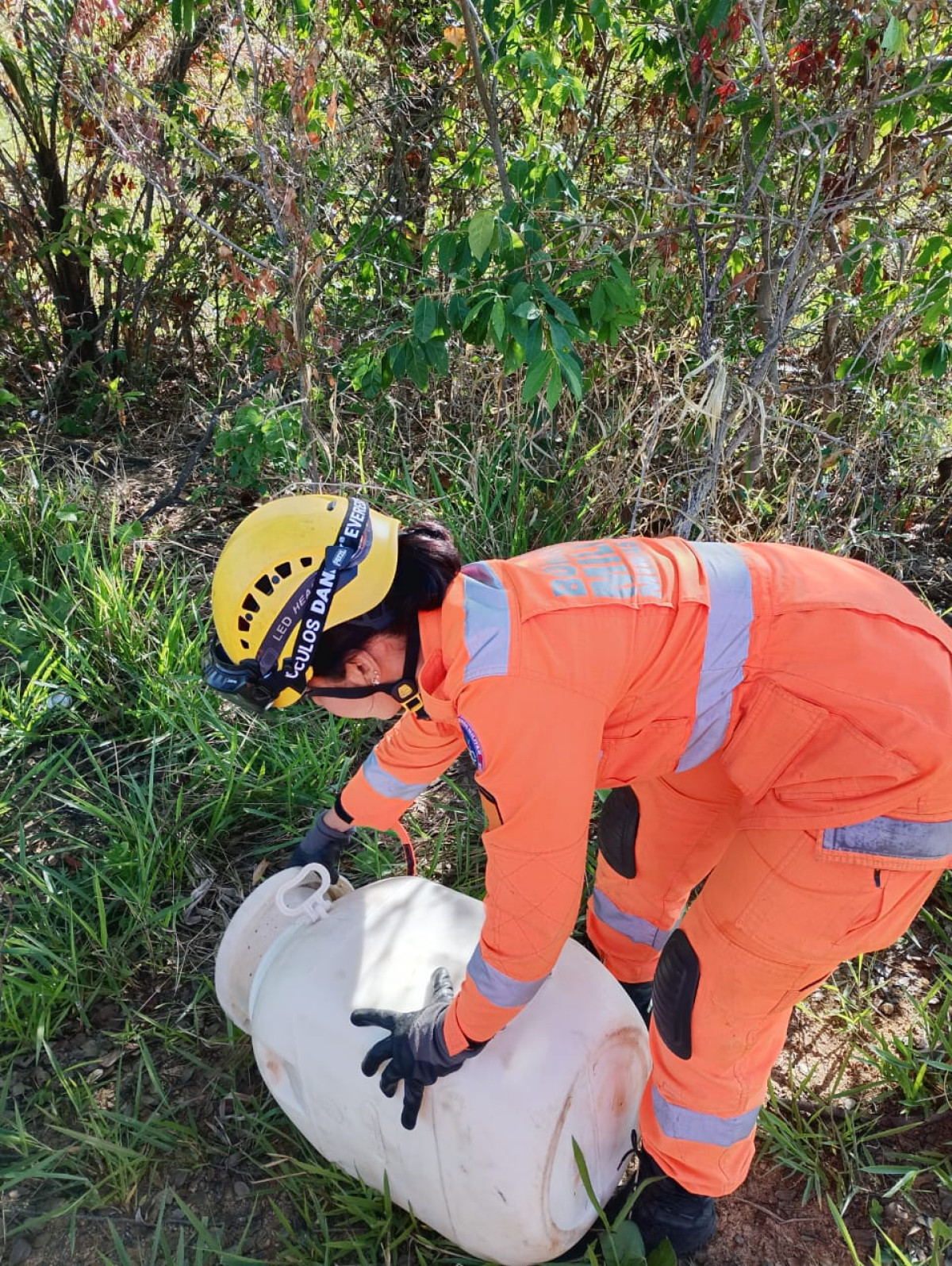 Ocorrência com animal silvestre mobiliza Corpo de Bombeiros