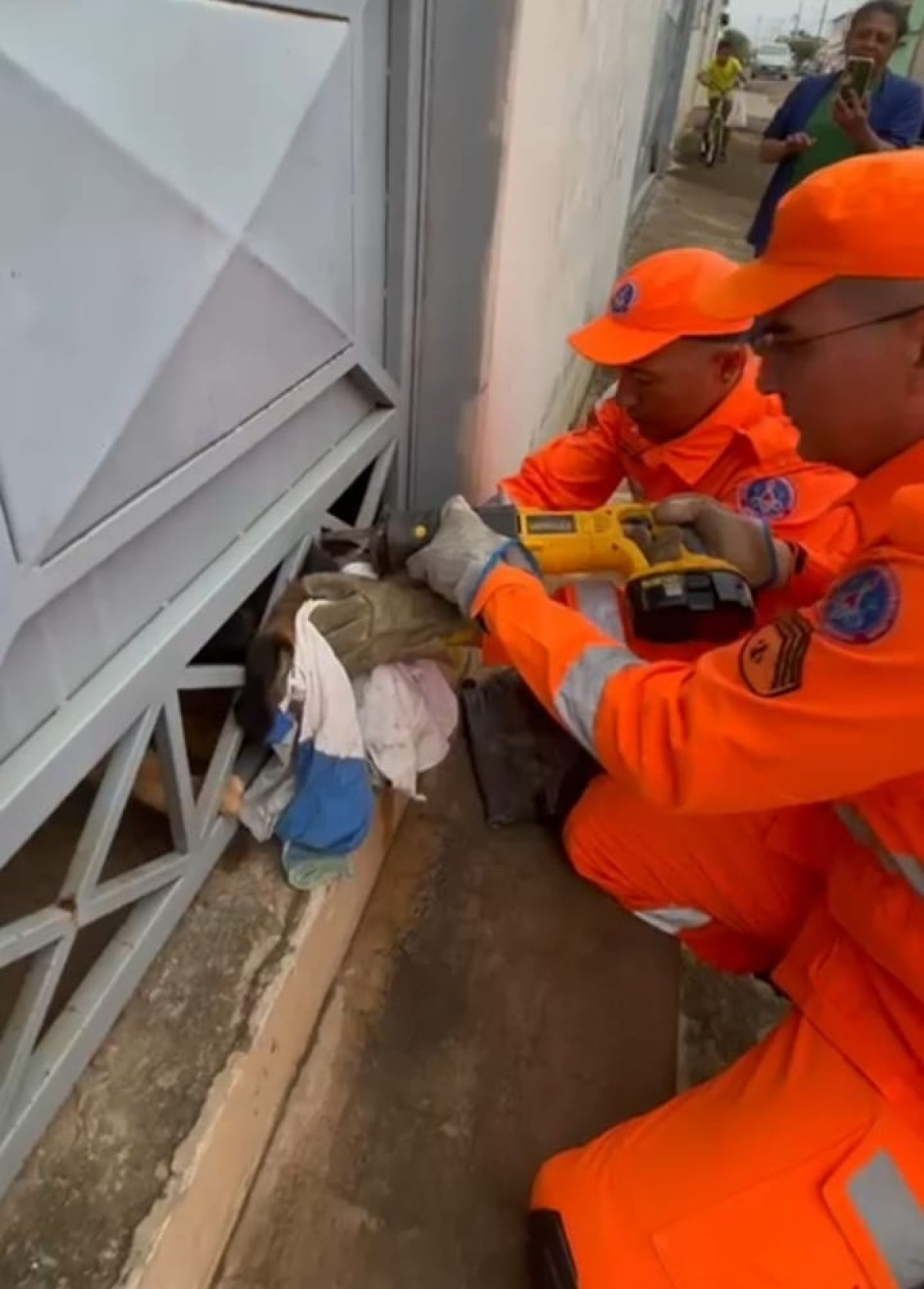 Bombeiros libertam Pastor Alemão preso em grade residencial