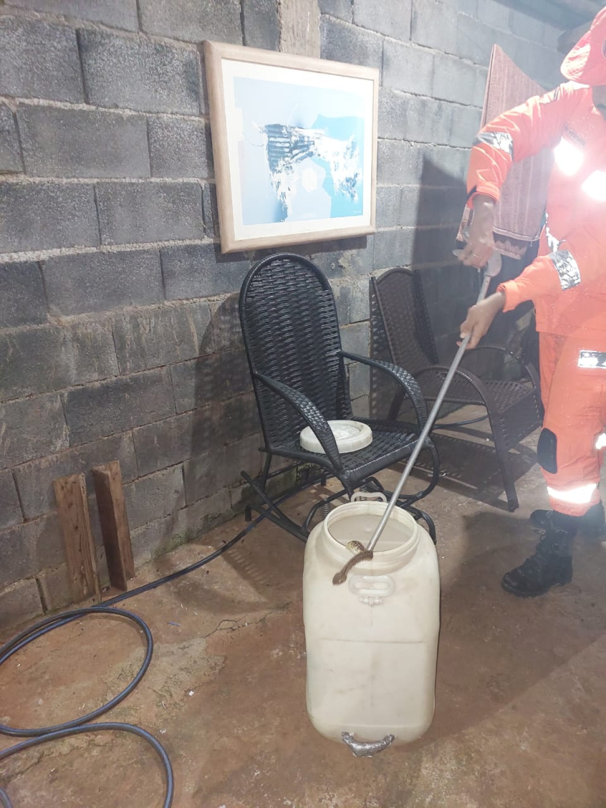 Bombeiros de Arcos realizam duas capturas de animais silvestres na noite de quarta-feira